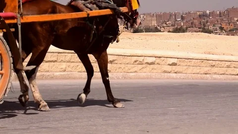 CAIRO, EGYPT - August 04, 2017: Egyptian man tries to stop cart from sliding Video stock 79606614