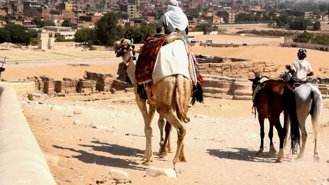 CAIRO, EGYPT - August 04, 2017: Egyptian man and his son ride a camel Stock Footage 79606629