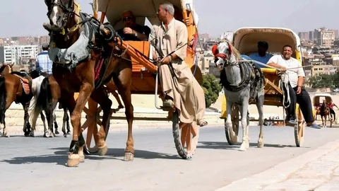 CAIRO, EGYPT - August 04, 2017: Tourists ride Horse Carts Near the Pyramids Stock Footage 79606632