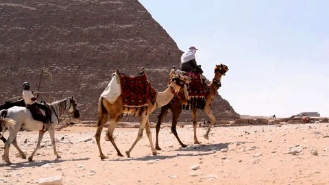 CAIRO, EGYPT - August 04, 2017: Egyptian man rides a camel and leads another one Stock Footage 79606840