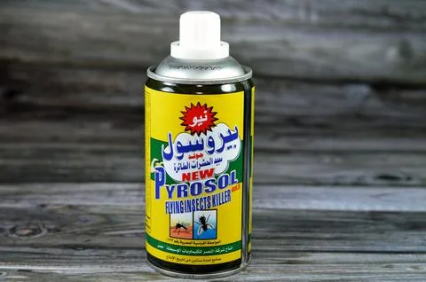 Cairo, Egypt, August 4 2023: New Pyrosol gold flying insect killer spray, B.. Stock Photos