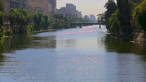 Cairo Egypt  Stock Footage 255669044