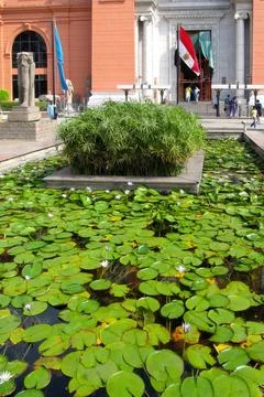 Cairo, Egypt - September 1, 2009 Lotuses and Papyrus Flourish in the Tranqu.. Stock Photos