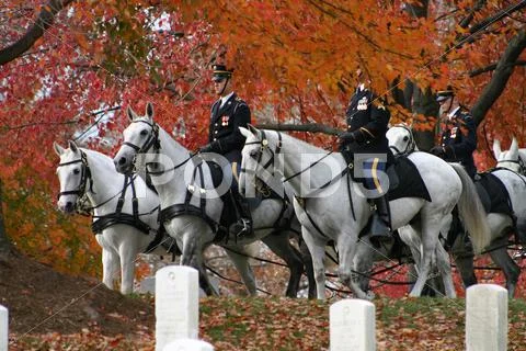 Photograph: Caisson at Arlington National Cemetery #30317787