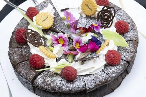 Cake buffet with various bite-sized cakes lined up Stock Photos