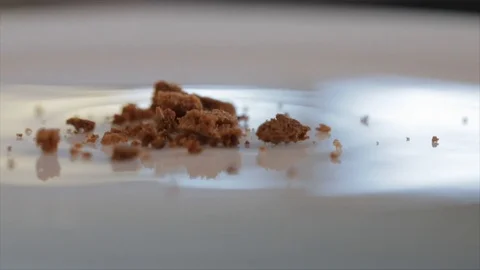 Cake Crumbs Falling on a Shiny Plate Closeup Stock Footage 99137923