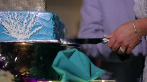 Cake Cut at Wedding Video stock 64144120
