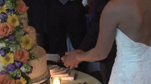 Cake Cutting July 2011 Stock Footage 8521104