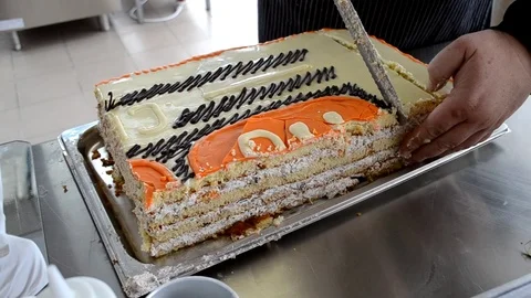 Cake Stock Footage 99902397