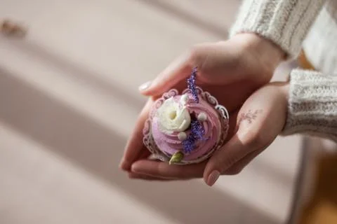 Cake in the hands. view from above Stock Photos