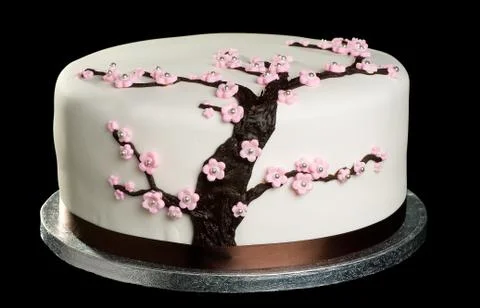 Cake on isolated black background Stock Photos
