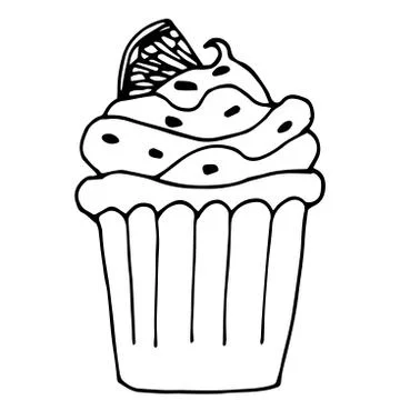 Cake with lemon or orange, cupcake drawn in outline isolated on Stock Illustration