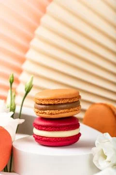 Cake macaron or macaroon on green background Stock Photos