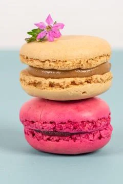Cake macaron or macaroon on turquoise background from above, colorful almond  Fotos Stock