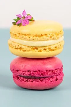 Cake macaron or macaroon on turquoise background from above, colorful almond  Stock Photos