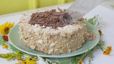 Cake with nuts and chocolate, decorated with chocolate chips. cake stands on a 스톡 동영상 147475684
