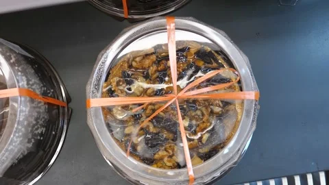 Cake in plastic packaging with orange ribbon. Top view of the cake. Video stock 309826014