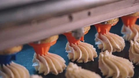 Cake Production Line, Candy Production Line, Cake production Line Stock Footage 337426515