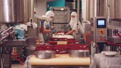 Cake Production Line Video stock 337426297