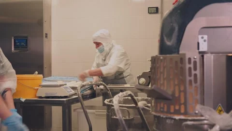 Cake Production Line Stockbeeldmateriaal 337426393