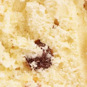 Cake with raisin close up as a background Stock Photos