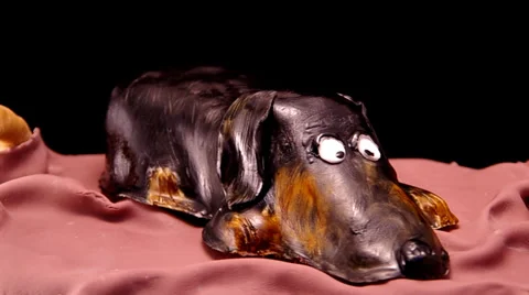 Cake in the shape of a dog Stock Footage 34643154