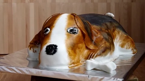 Cake in the shape of a dog Stock Footage 72487251