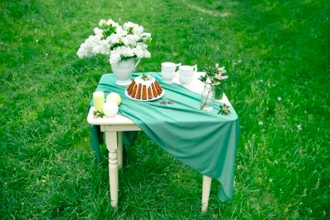 Cake with some cups on picnic table decorated with flowers, candles, vase in Stock Photos