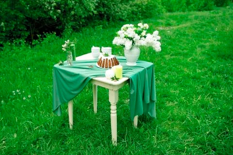Cake with some cups on picnic table decorated with flowers, candles, vase in Stock Photos