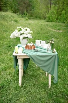 Cake with some cups on picnic table decorated with flowers, candles, vase in Stock-Fotos
