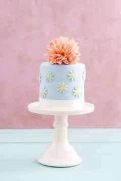 Cake with sugar flower Stock Photos