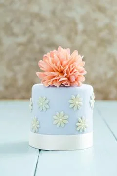 Cake with sugar flower Stock-Fotos