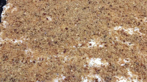 Cake With Walnuts Stock Footage 101069885