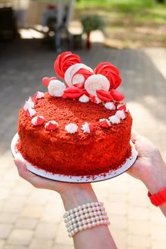 Cake with white and red patterns in female hands Stock Photos
