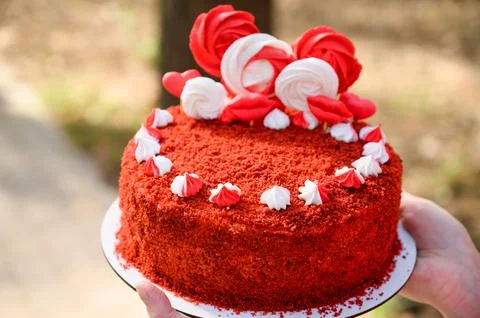 Cake with white and red patterns in female hands Stock-Fotos