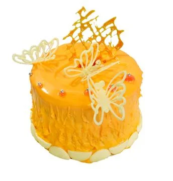 Cake on a white background.culinary product Stock Photos