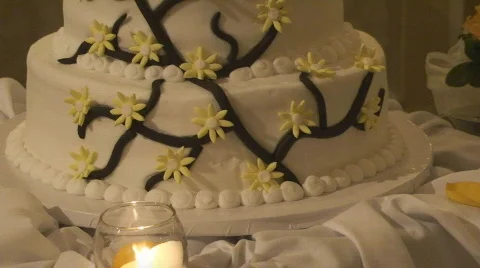 Cake10 Stock Footage 549894