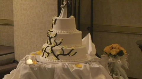 Cake11 Stock Footage 549900