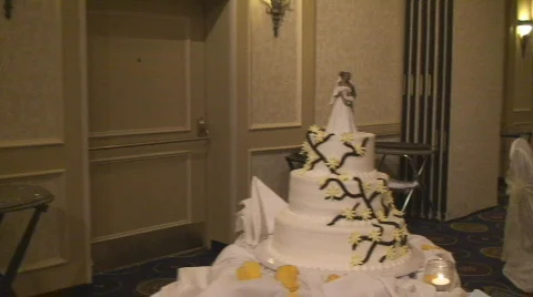 Cake12 Stock Footage 549906