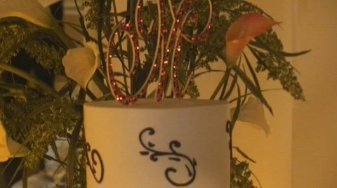 Cake14 Stock Footage 549934