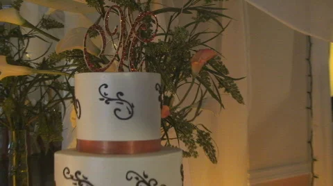 Cake17 Stock Footage 550013