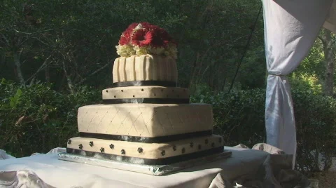 Cake20 Stock Footage 555933