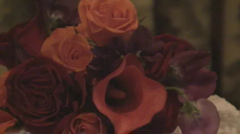 Cake23 Stock Footage 558156