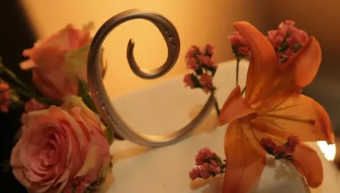 Cake3 Vidéo 10725347