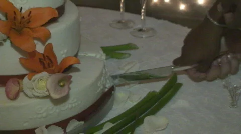 CakeCutting05 Stock Footage 556043