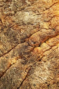 Caked thick crust of bread Stock Photos