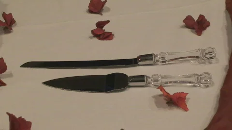 CakeKnife01 Stock Footage 556108