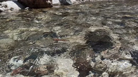 Çakırlar/Antalya/TURKEY Stock Footage 134557246