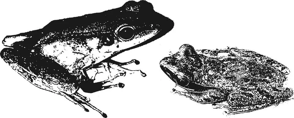 Cakung Stock Illustration