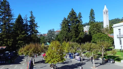 CAL BERKELEY - SATHER GATE AND CAMPANILE TOWER Stock Footage 219833409